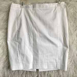 Express Pencil Skirt